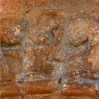 genouille PICT0002